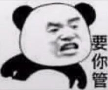 > 熊猫头要你管表情包有哪些 熊猫头要你管表情包汇总    要你管这个