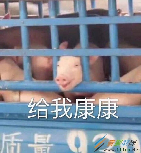 杰哥我要康康是什么梗我要康康出处是哪儿