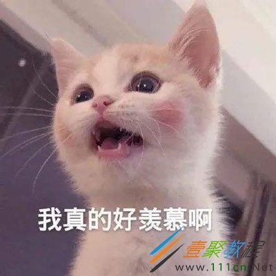 uryms是什么梗 uryms是什么意思