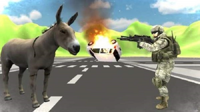 Donkey Rampage