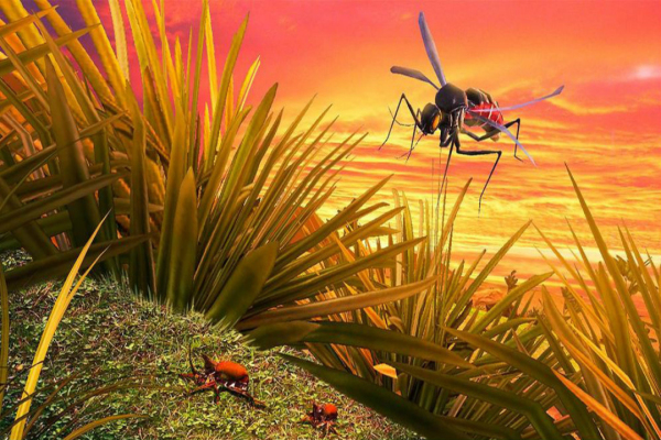 蚊子模拟器3D九游版
