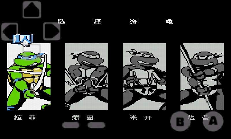 忍者神龟34人版