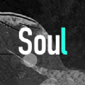 soul(脱单神器)