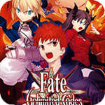 Fate/无限代码汉化版